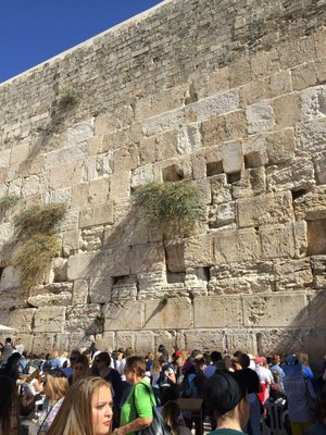 2018 11 01 Lucienne (061)