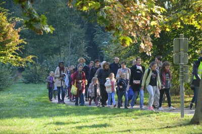 Pèlerinage paroissial à Chartres