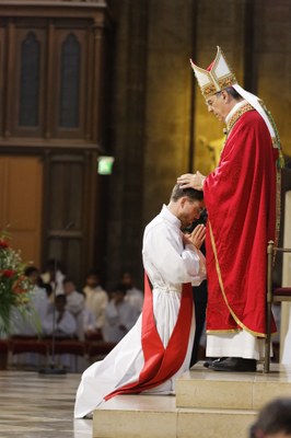 Homélie (extraits) de Monseigneur Aupetit aux ordinations du 29 juin 2019, à Paris (Photos) Image_preview