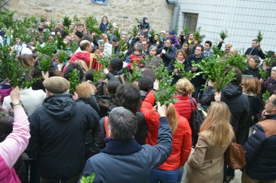 Dimanche des Rameaux