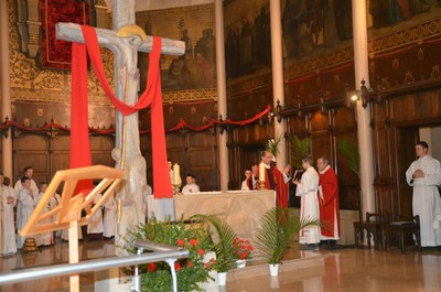 Dimanche des Rameaux