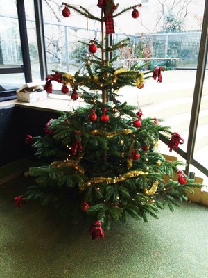 Décorations Noël 2015