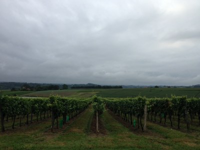 Camp des guides dans le Gers 005