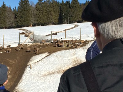 Camp ski servants 2019 02 (21)