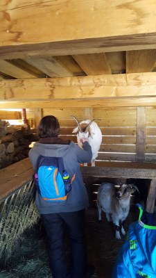 Camp ski servants 2019 02 (5)