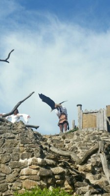 4ème jour du camp de l'aumônerie à Saint Laurent sur Sèvre en Vendée 