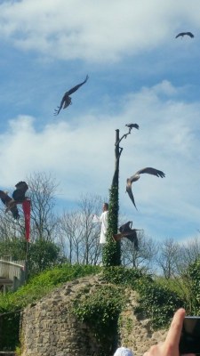 4ème jour du camp de l'aumônerie à Saint Laurent sur Sèvre en Vendée 